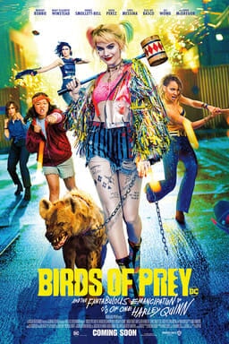 Birds Of Prey And The Fantabulous Emancipation Of One Harley Quinn - Key Art